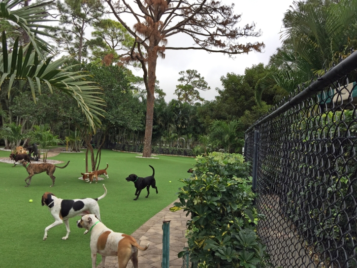 Grass Installation Lafayette, California Dog Park, Commercial Landscape