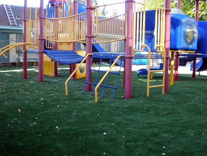 Grass Installation Muir Beach, California Kids Indoor Playground, Commercial Landscape