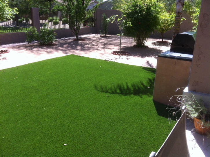 Grass Turf Alum Rock, California Backyard Deck Ideas, Beautiful Backyards