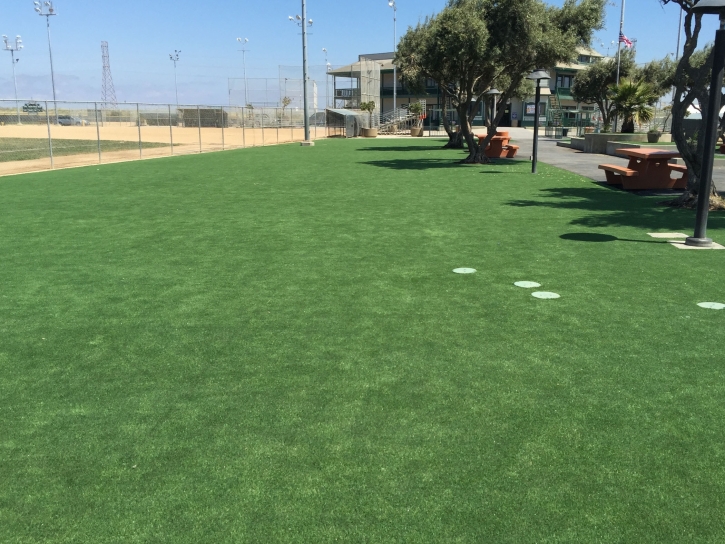 Grass Turf Tracy, California Landscape Photos, Recreational Areas