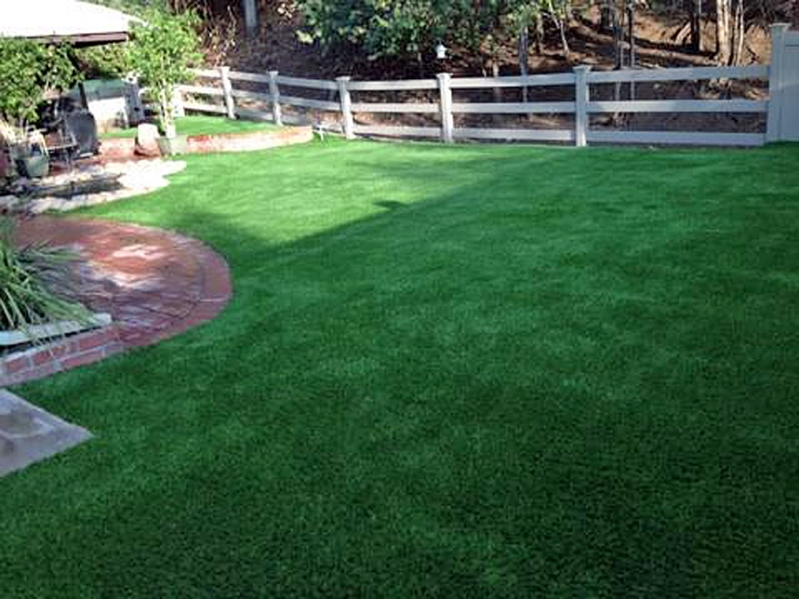 Grass Turf Wilton, California Cat Playground, Backyard Garden Ideas