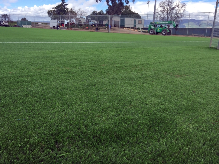 Green Lawn Fremont, California Soccer Fields