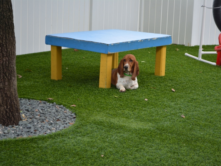 How To Install Artificial Grass Saint Helena, California Cat Playground, Dogs Park