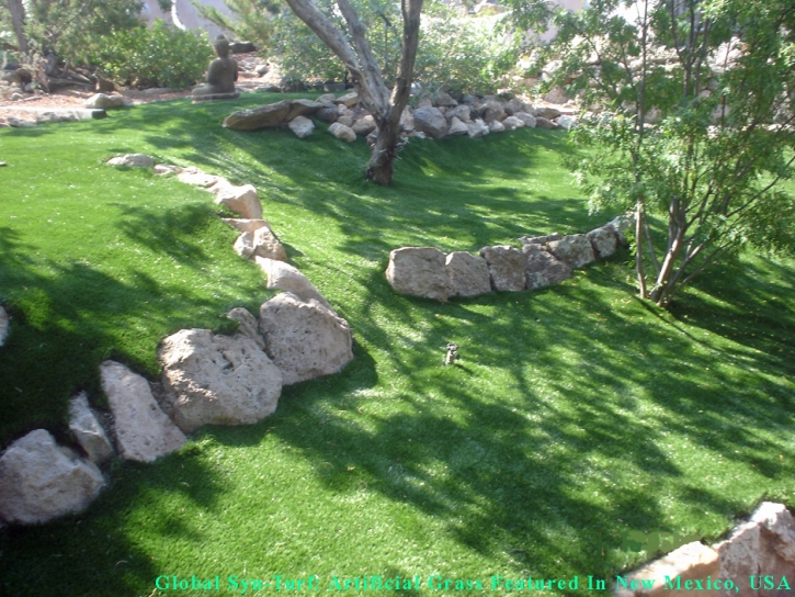 Lawn Services Belvedere, California Lawn And Landscape, Commercial Landscape