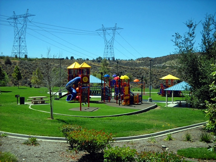 Lawn Services Dixon, California Playground, Recreational Areas