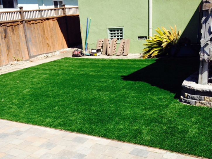 Outdoor Carpet Corte Madera, California Landscape Photos, Backyard Landscaping