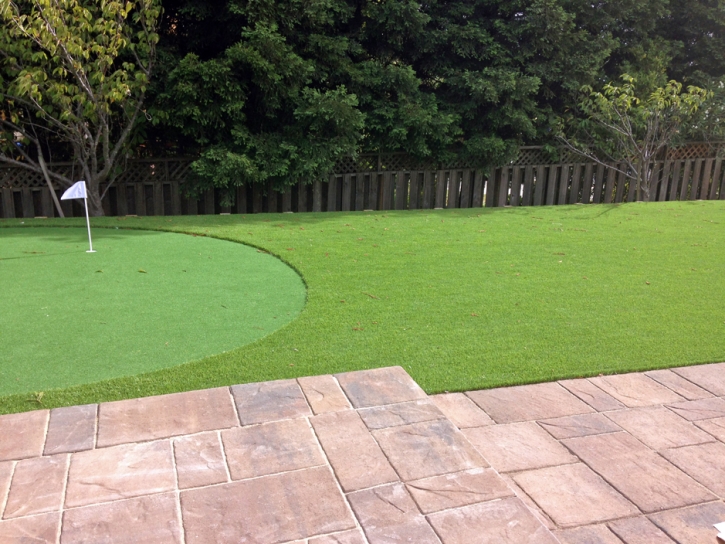 Outdoor Carpet Kennedy, California Landscaping Business, Backyard Landscape Ideas