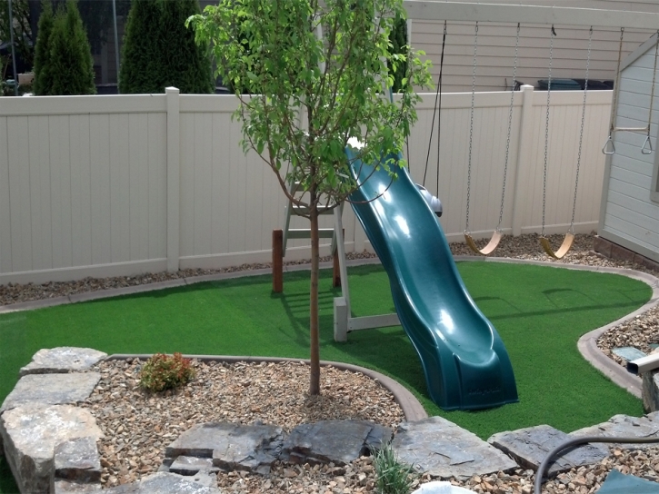 Outdoor Carpet Loyola, California Lawn And Landscape, Backyard Ideas