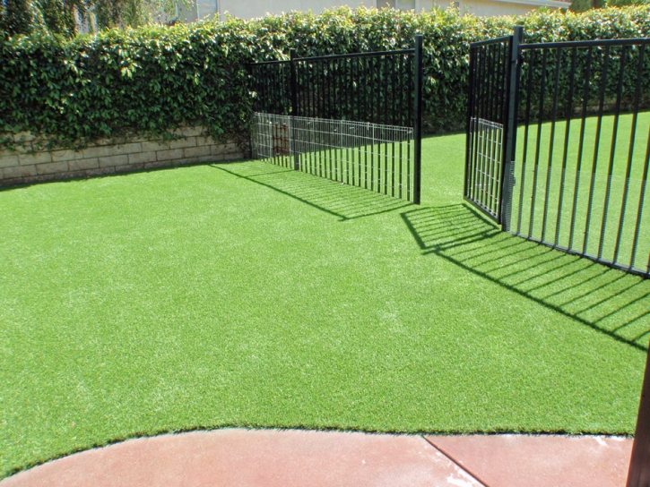 Outdoor Carpet Pacheco, California Pet Paradise, Front Yard Design