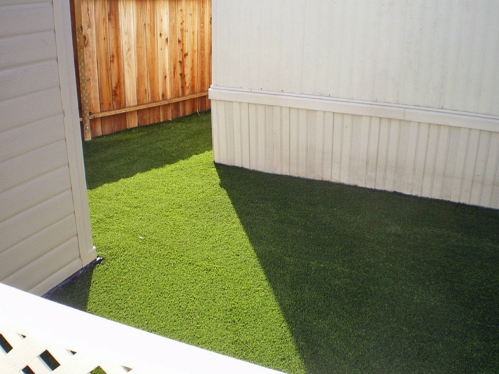 Plastic Grass Alto, California Landscape Photos, Backyard Designs