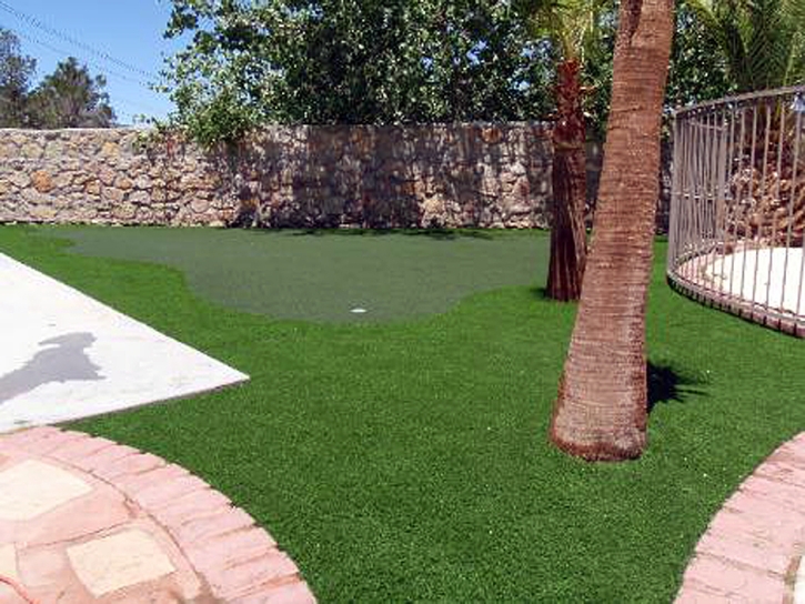 Plastic Grass Bystrom, California How To Build A Putting Green, Backyard Makeover