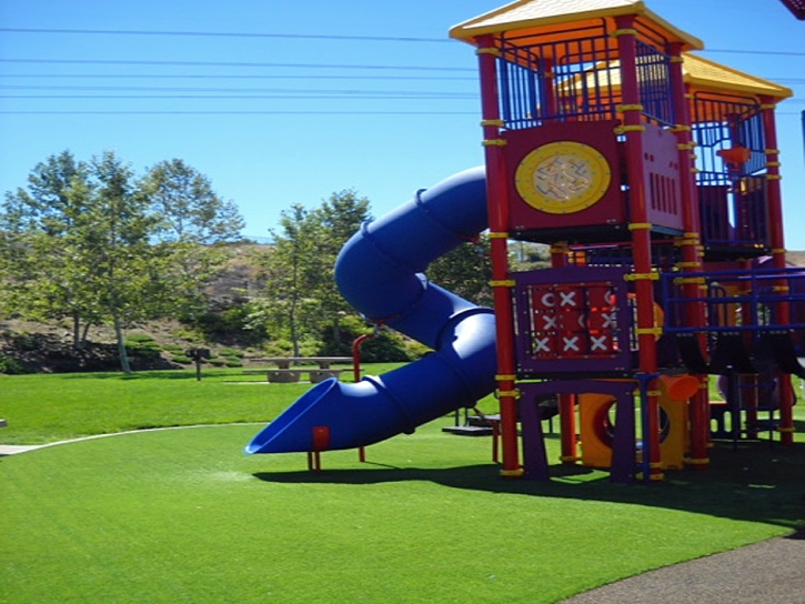 Plastic Grass Graton, California Lawn And Garden, Parks