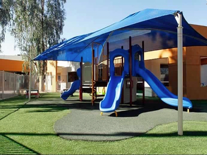 Synthetic Grass Burlingame, California Kids Indoor Playground, Commercial Landscape