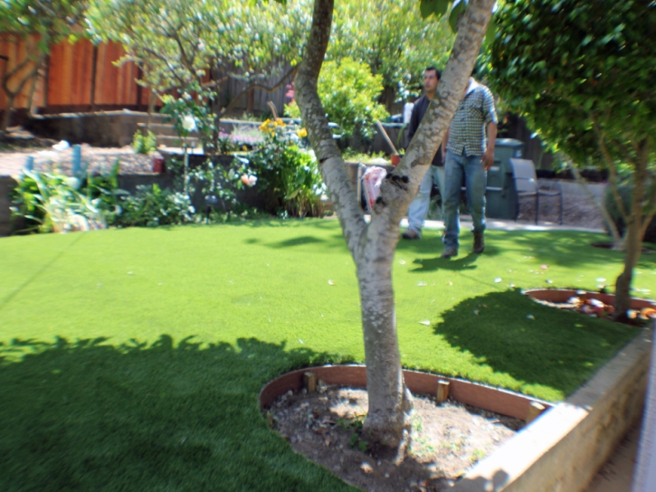 Synthetic Grass Cost Fairfield, California Backyard Playground, Beautiful Backyards