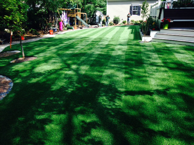 Synthetic Grass Cost Fulton, California Design Ideas, Backyard Makeover