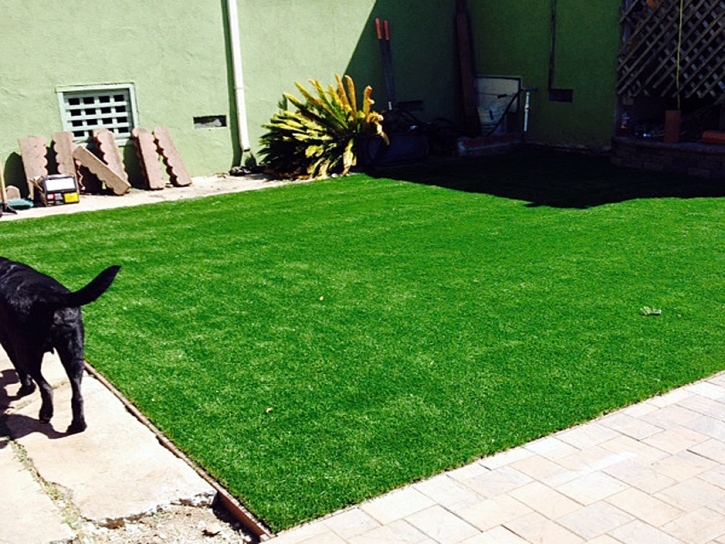 Synthetic Grass Cost Lafayette, California Roof Top, Dogs Runs