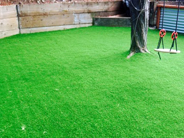 Synthetic Grass Cost Mill Valley, California Lawn And Garden, Backyard