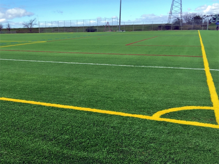 Synthetic Grass Cost Point Reyes Station, California Sports Athority