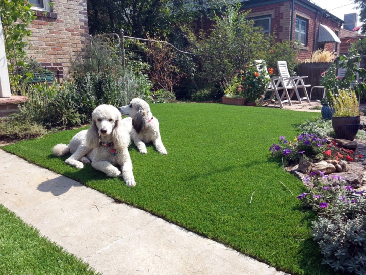 Synthetic Grass Cost Roseland, California Pet Grass, Grass for Dogs