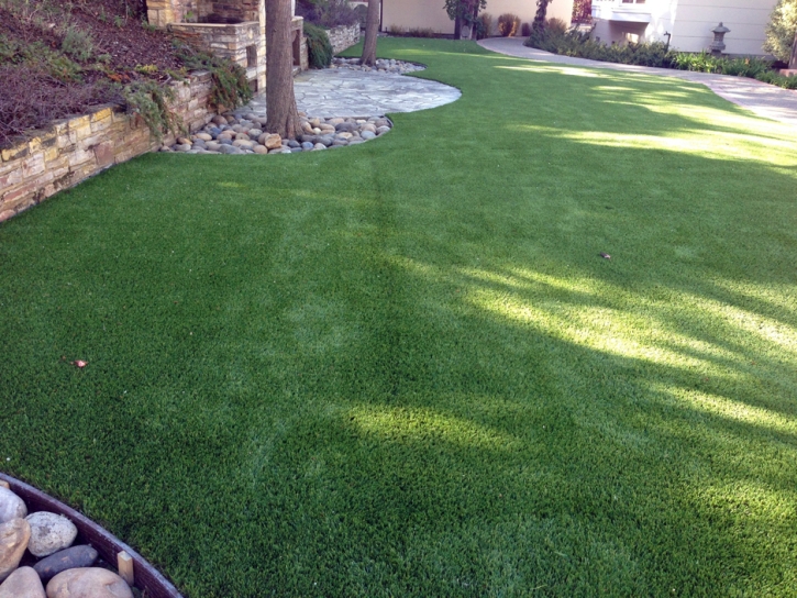 Synthetic Grass Davenport, California Grass For Dogs, Beautiful Backyards