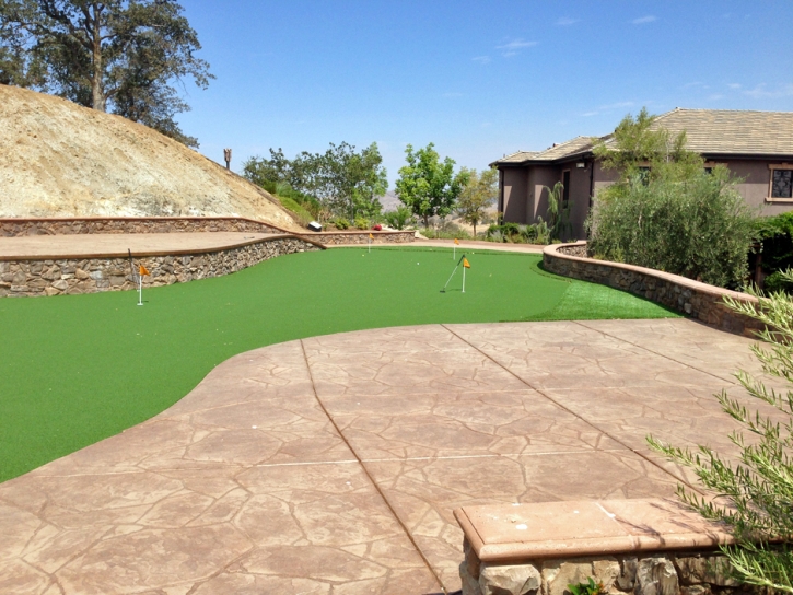 Synthetic Grass Fetters Hot Springs-Agua Caliente, California Putting Green Turf, Backyard Landscape Ideas