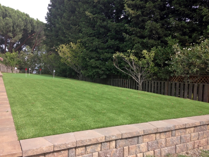 Synthetic Grass Penngrove, California Design Ideas, Backyard Ideas