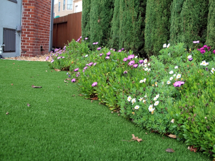 Synthetic Grass Sleepy Hollow, California Lawns, Front Yard Ideas