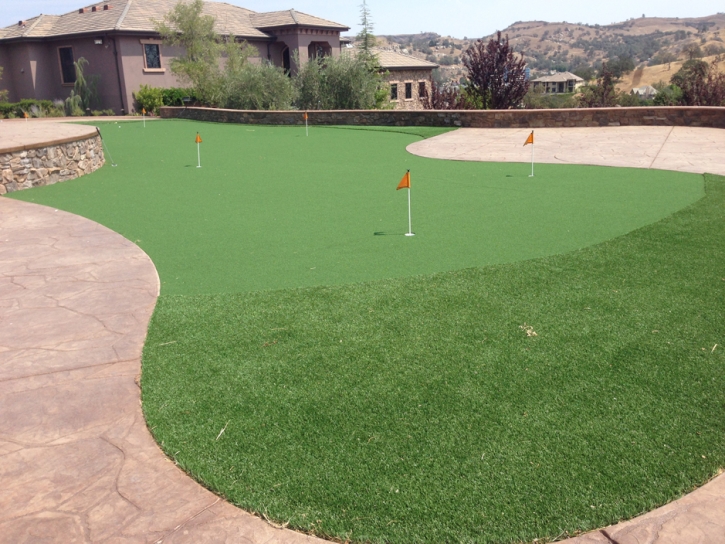 Synthetic Grass Sonoma, California Rooftop