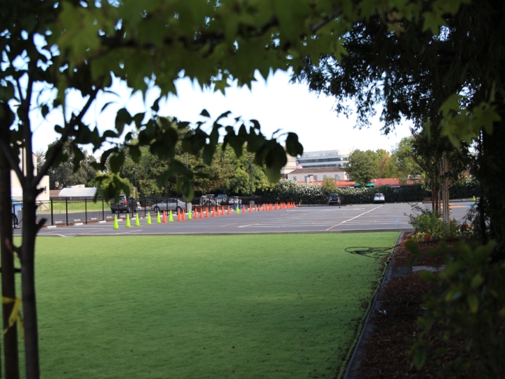 Synthetic Lawn Pescadero, California Sports Turf, Commercial Landscape