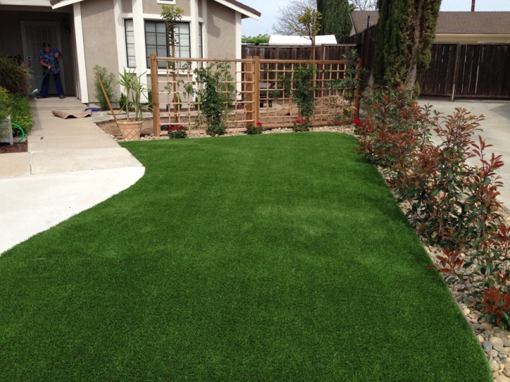 Synthetic Turf East Foothills, California Backyard Playground, Front Yard