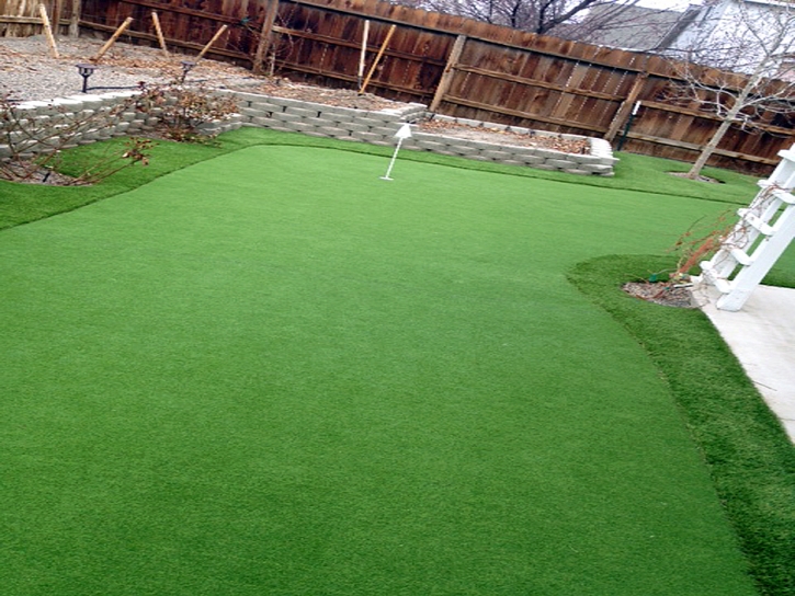 Synthetic Turf Newark, California Diy Putting Green, Backyard Landscaping