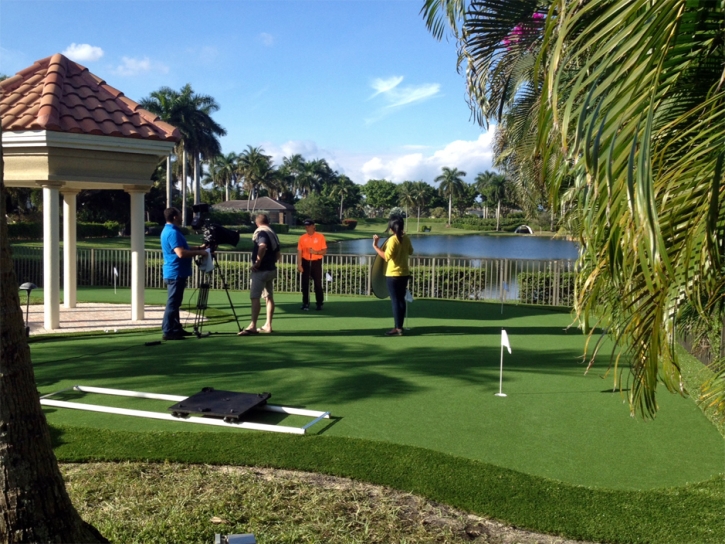 Synthetic Turf Supplier Burlingame, California Indoor Putting Greens, Small Backyard Ideas