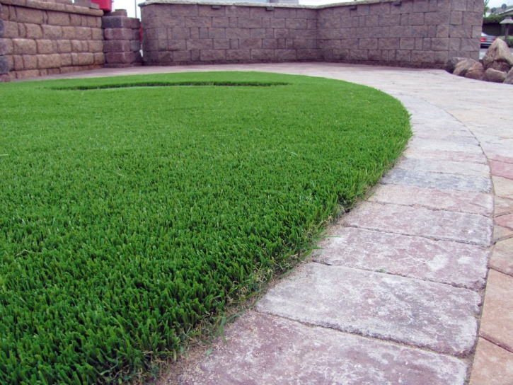 Synthetic Turf Supplier Campbell, California Dogs, Landscaping Ideas For Front Yard
