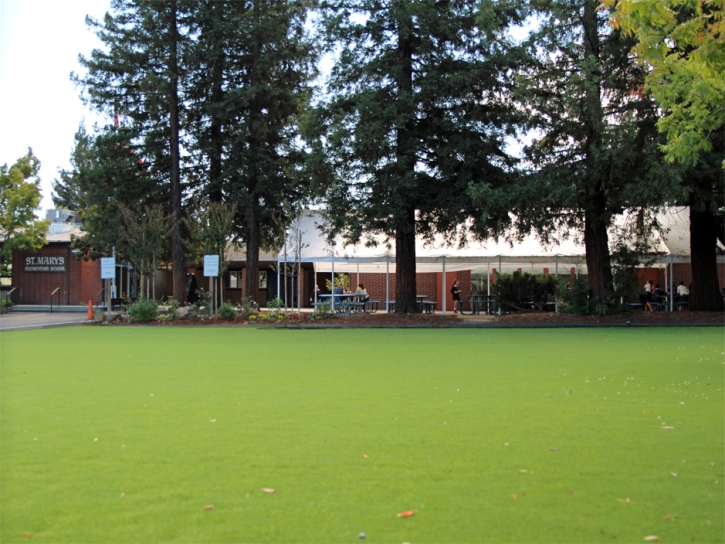 Synthetic Turf Supplier Farmington, California Lawn And Garden, Parks