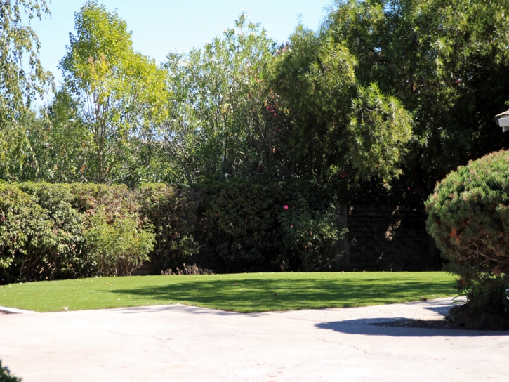 Synthetic Turf Supplier Sunol, California Roof Top, Front Yard Landscaping