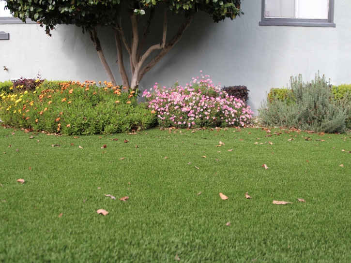 Turf Grass Antioch, California Landscape Design, Landscaping Ideas For Front Yard