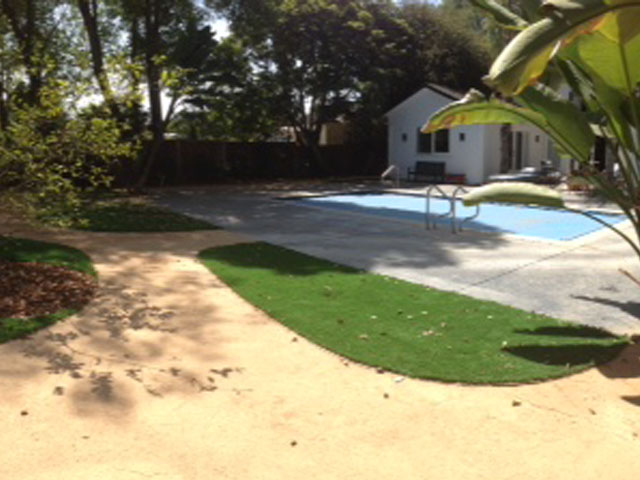 Turf Grass Forestville, California Lawns, Backyard Designs
