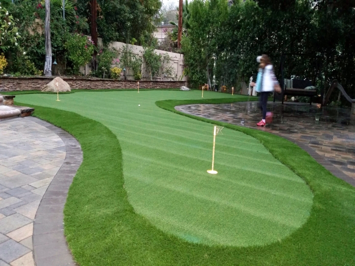 Turf Grass Herald, California Office Putting Green, Backyard Landscape Ideas