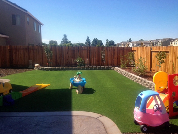 Turf Grass Interlaken, California Landscaping Business, Backyard