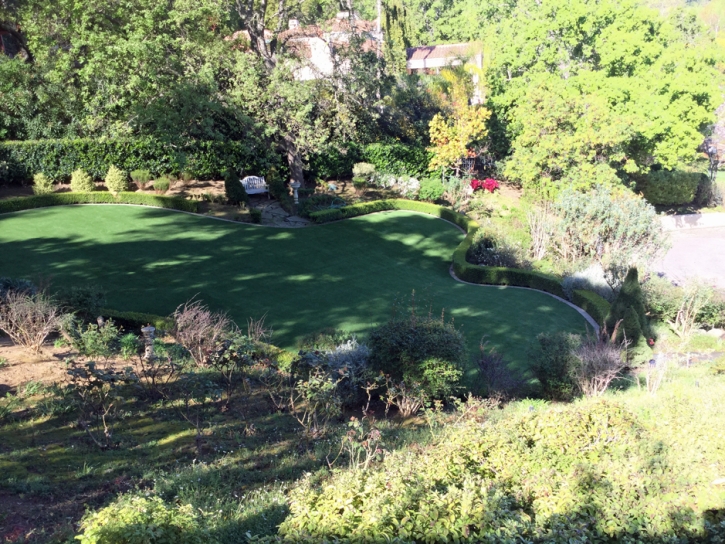 Turf Grass Knightsen, California City Landscape, Backyard Designs