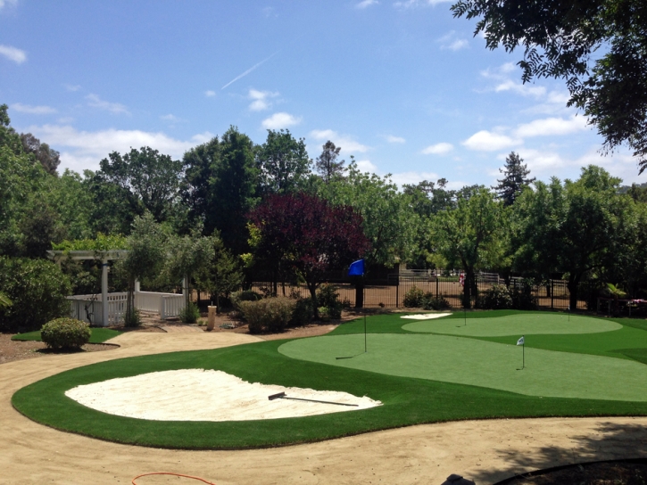 Turf Grass Marin City, California Putting Green, Front Yard Landscaping Ideas