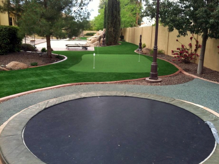 Turf Grass Morgan Hill, California City Landscape, Backyards