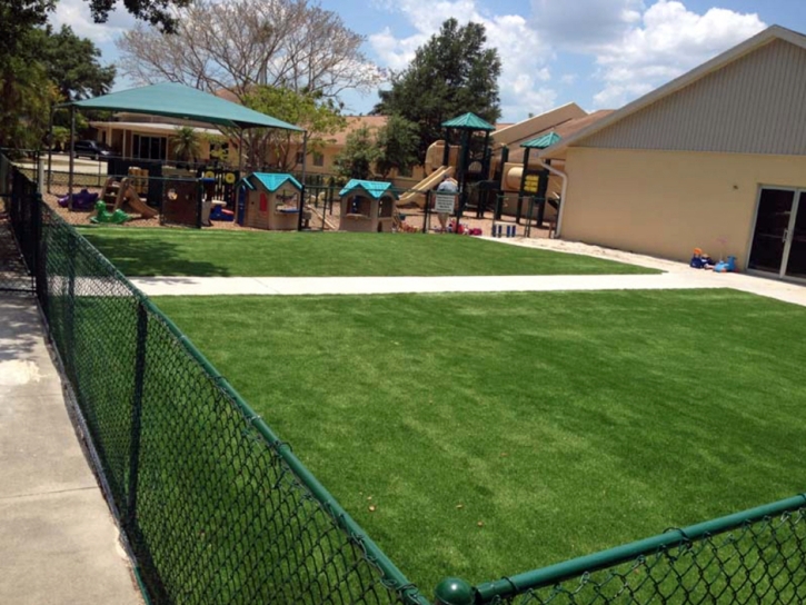 Turf Grass Oakland, California Garden Ideas, Commercial Landscape