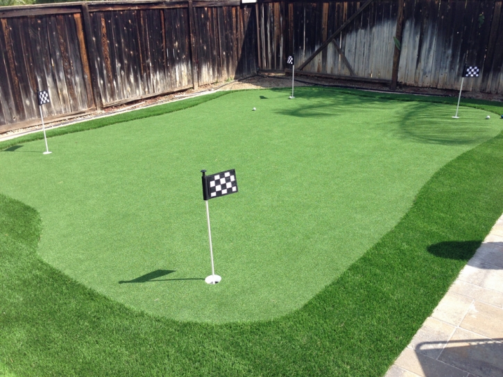 Turf Grass San Carlos, California Backyard Putting Green, Backyard Design