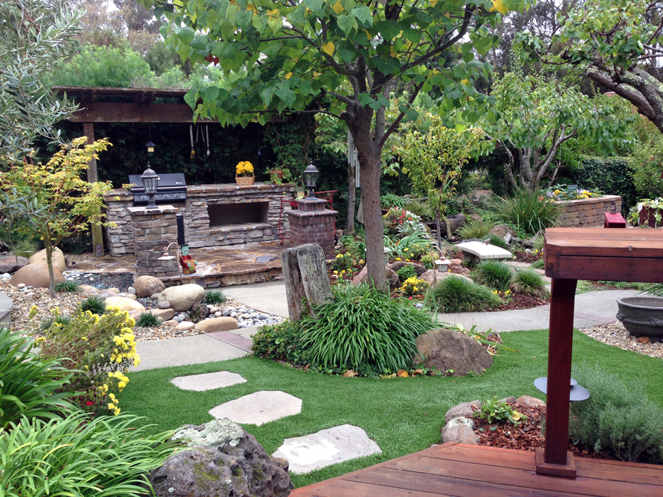 Grass Turf Windsor California Design, California Backyard Landscape Ideas